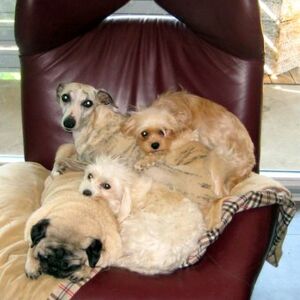 IMG_0117
